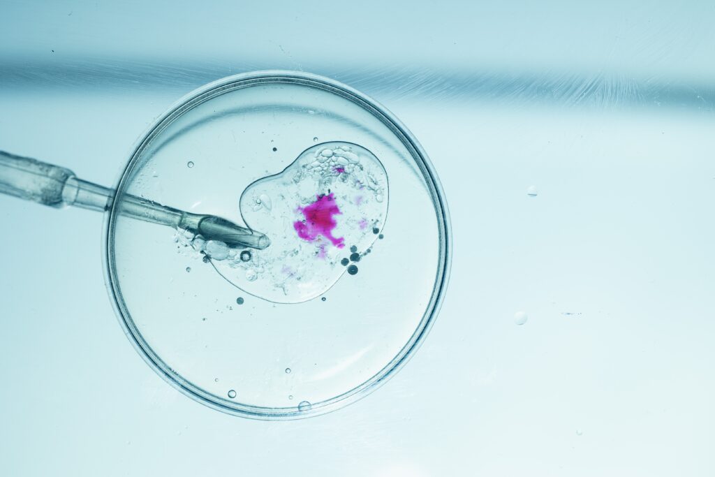 A Christian Perspective on Synthetic Embryos